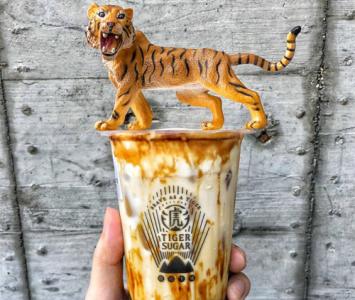 老虎山黑糖<a href=/listInfo/?classid=43 target=_blank class=infotextkey>奶茶</a>