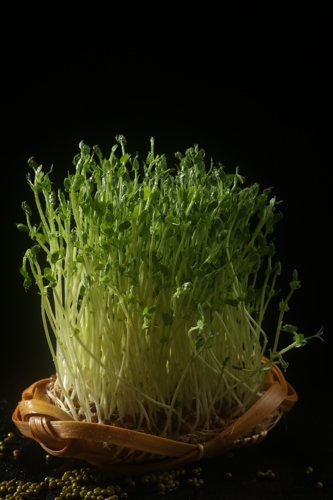 重庆有哪些好吃的老<a href=/listinfo-22-0.html target=_blank class=infotextkey>火锅</a>？这家一次不吃你的错 只吃一次我的错 