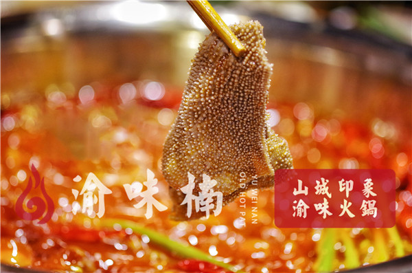 学<a href=/listinfo-22-0.html target=_blank class=infotextkey>火锅</a>技术哪里最正宗？好技术、精制作才是硬道理