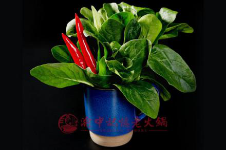 重庆老<a href=/listinfo-22-0.html target=_blank class=infotextkey>火锅</a>哪家最好吃？这家是老一辈喜欢的地道风味